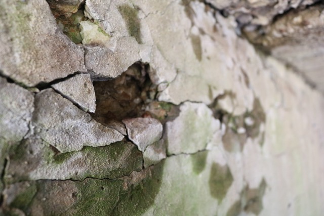 crack in the wall