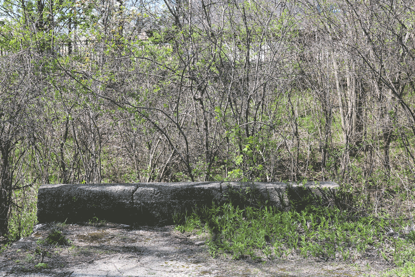 a gif of the ledge